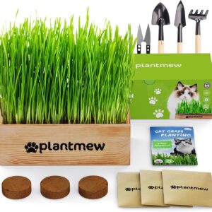 PLANTMEW Organic Cat Grass Kit