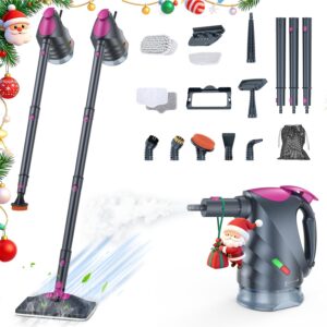 ScrubWiz Steam Cleaner